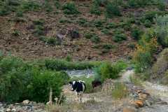 IMG-20220731-WA0108