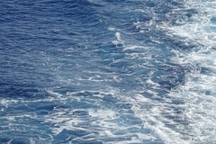 Mare nostrum