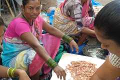 WhatsApp-Image-2023-11-29-at-08.42.33-Uttan_10 WhatsApp-Image-2023-11-29-at-08.42.33-Uttan_10