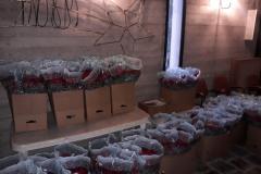 PHOTO-2021-07-05-11-20-51-2