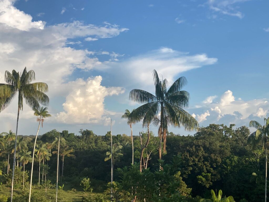 Amazzonia don Marco 3